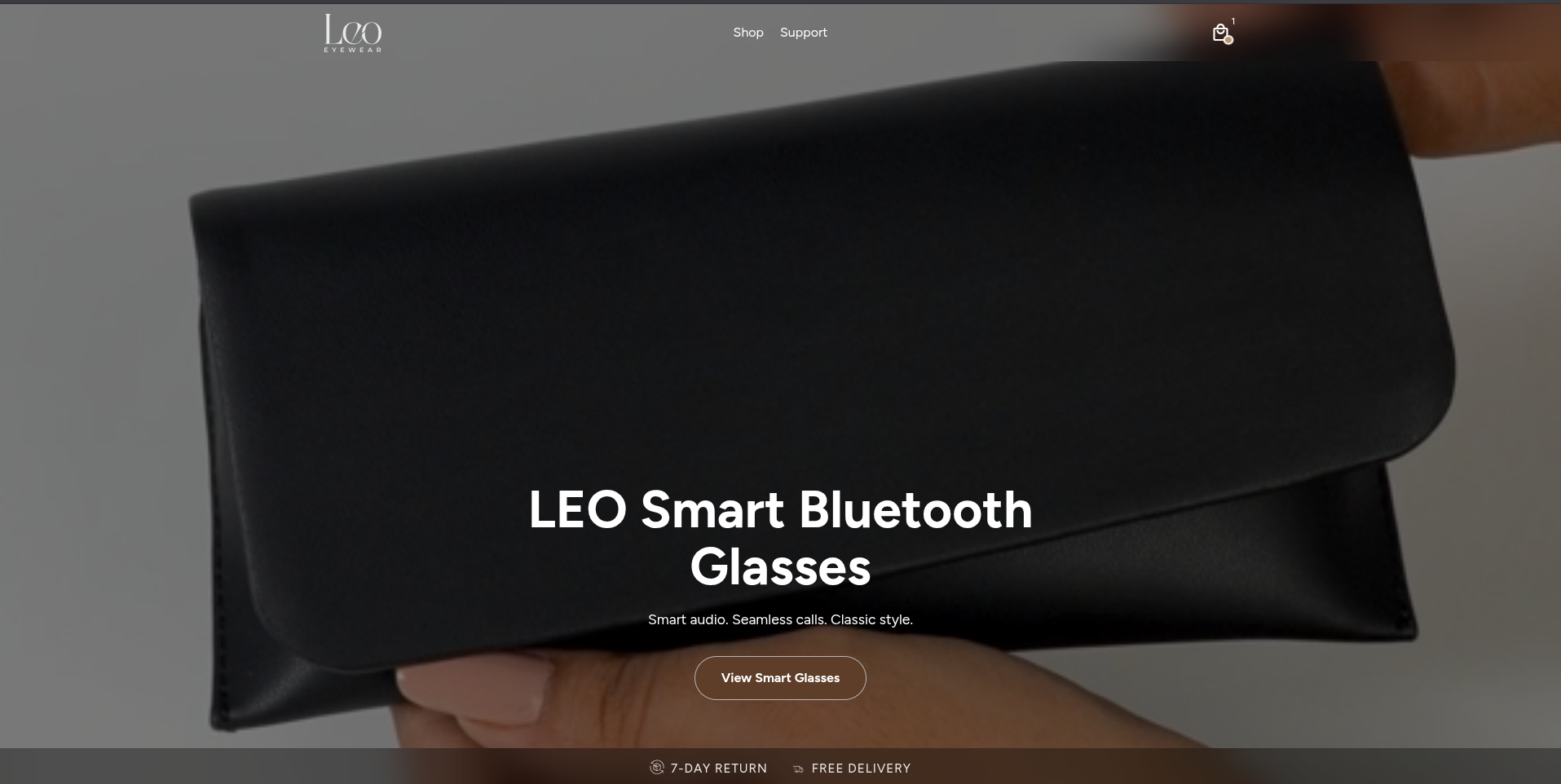 LEO Eyewear Preview